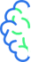 Enterprise Applications